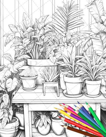 38 Indoor Houseplants Coloring Pages Printable for Adults, Grayscale Coloring Page, PDF File Instant Download