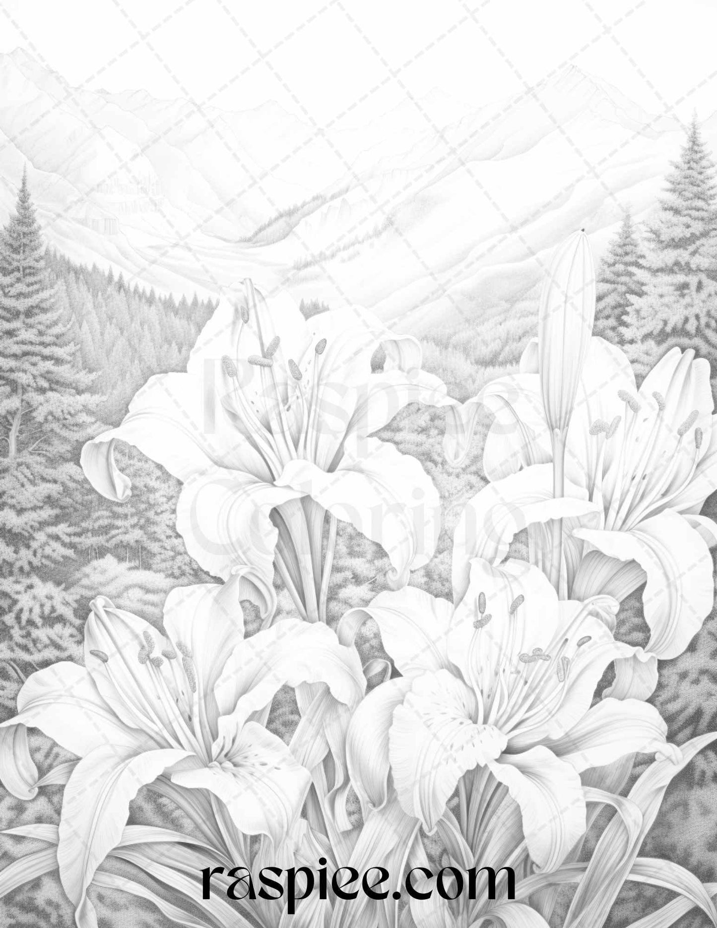 60 Mountain Flower Landscapes Grayscale Coloring Pages Printable for Adults, PDF File Instant Download