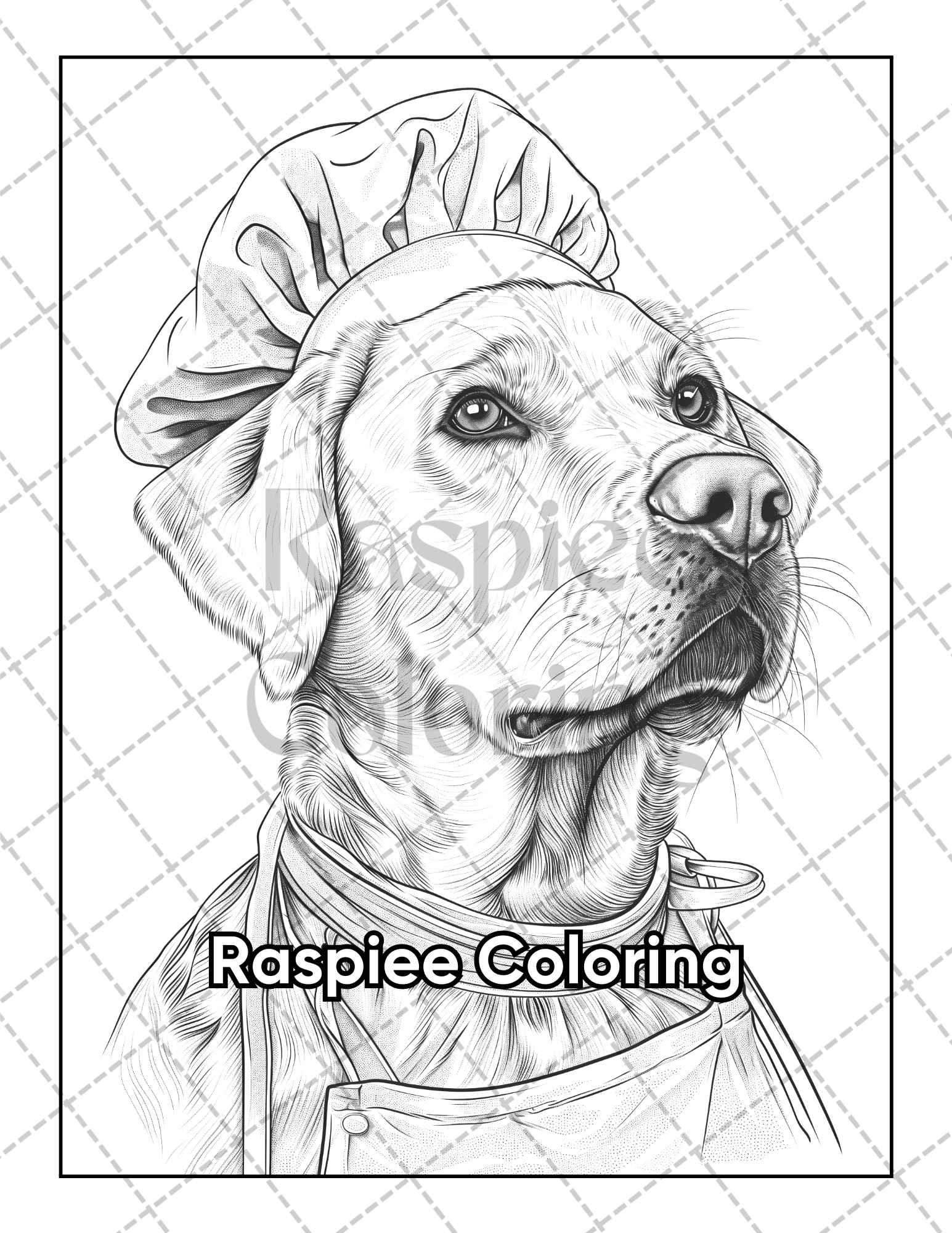 50 Dogs Dressed Up Adult Coloring Pages Printable PDF Instant Download