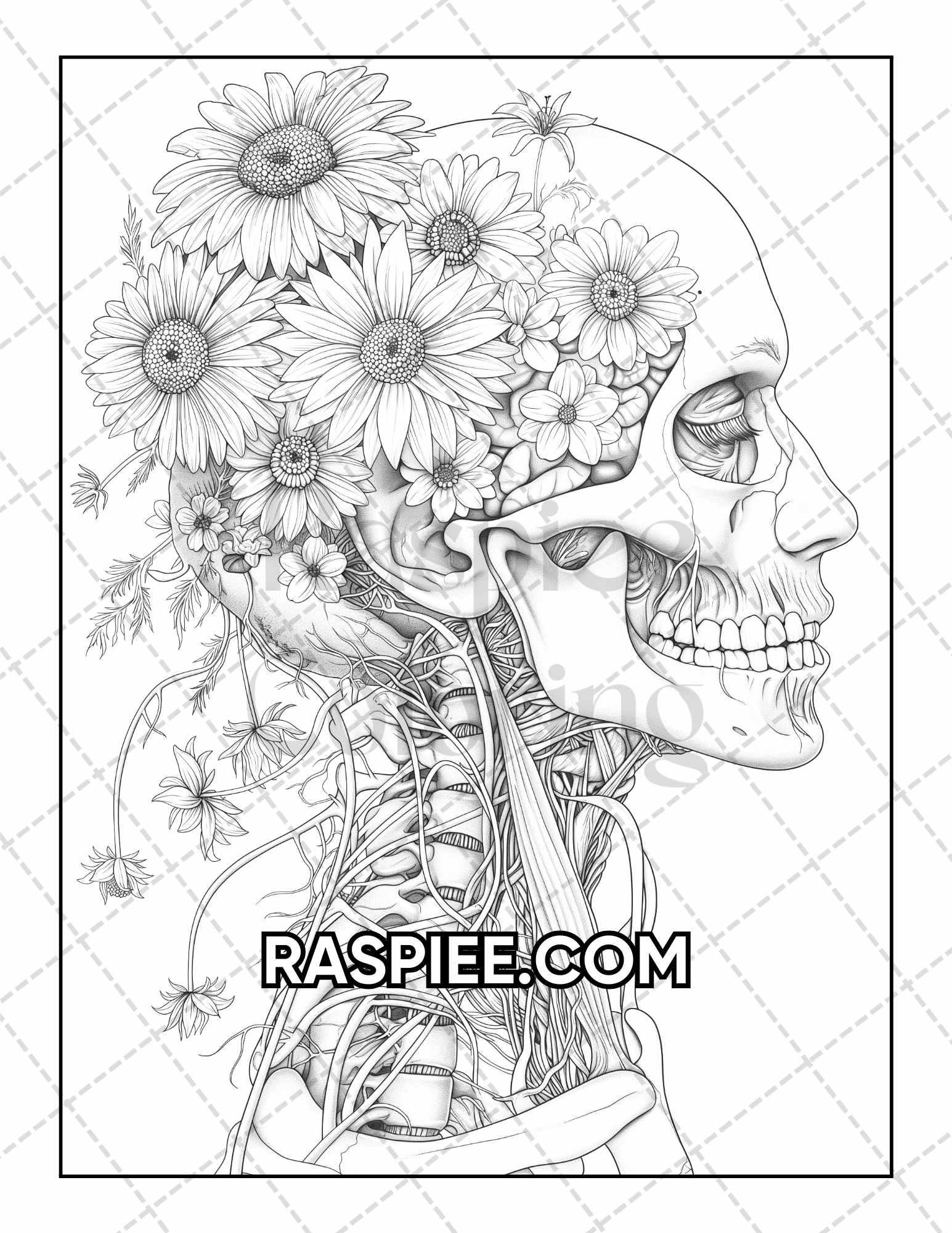 50 Botanical Anatomy Adult Coloring Pages Printable PDF Instant Download