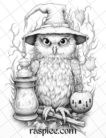 Halloween Witch Owl Grayscale Coloring Pages for Adults and Kids, Printable PDF Instant Download