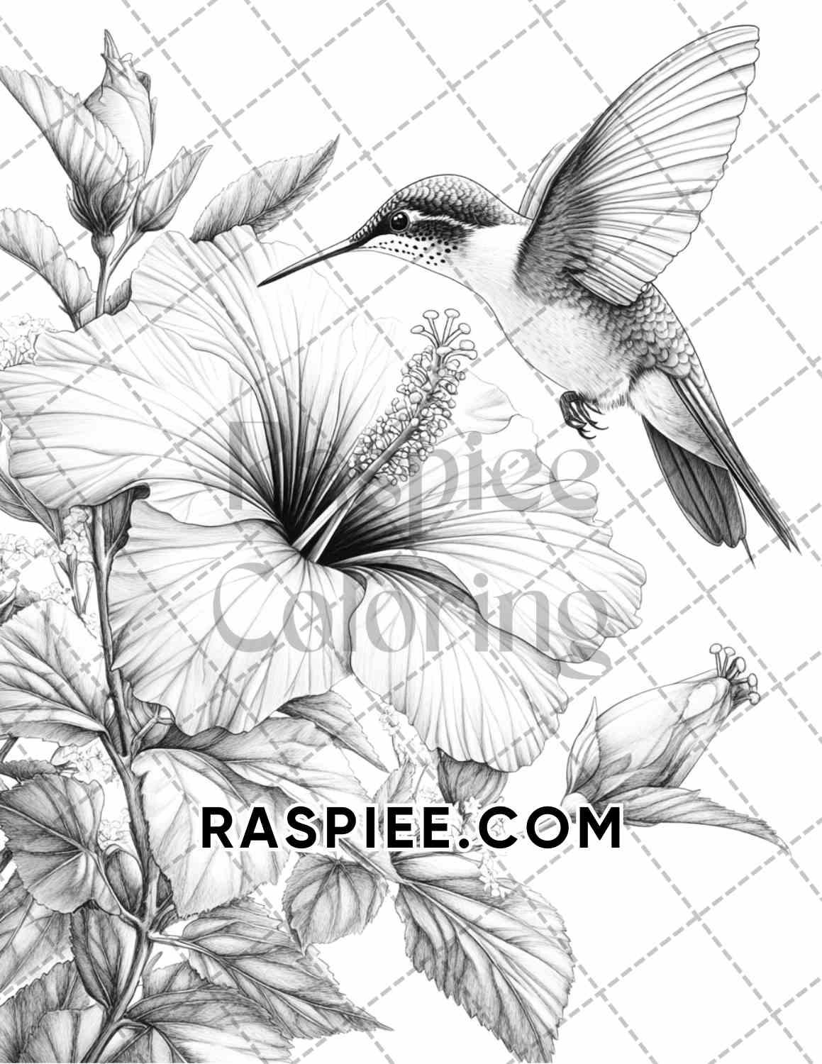 Flowers and Birds Adult Coloring Pages Printable PDF Instant Download