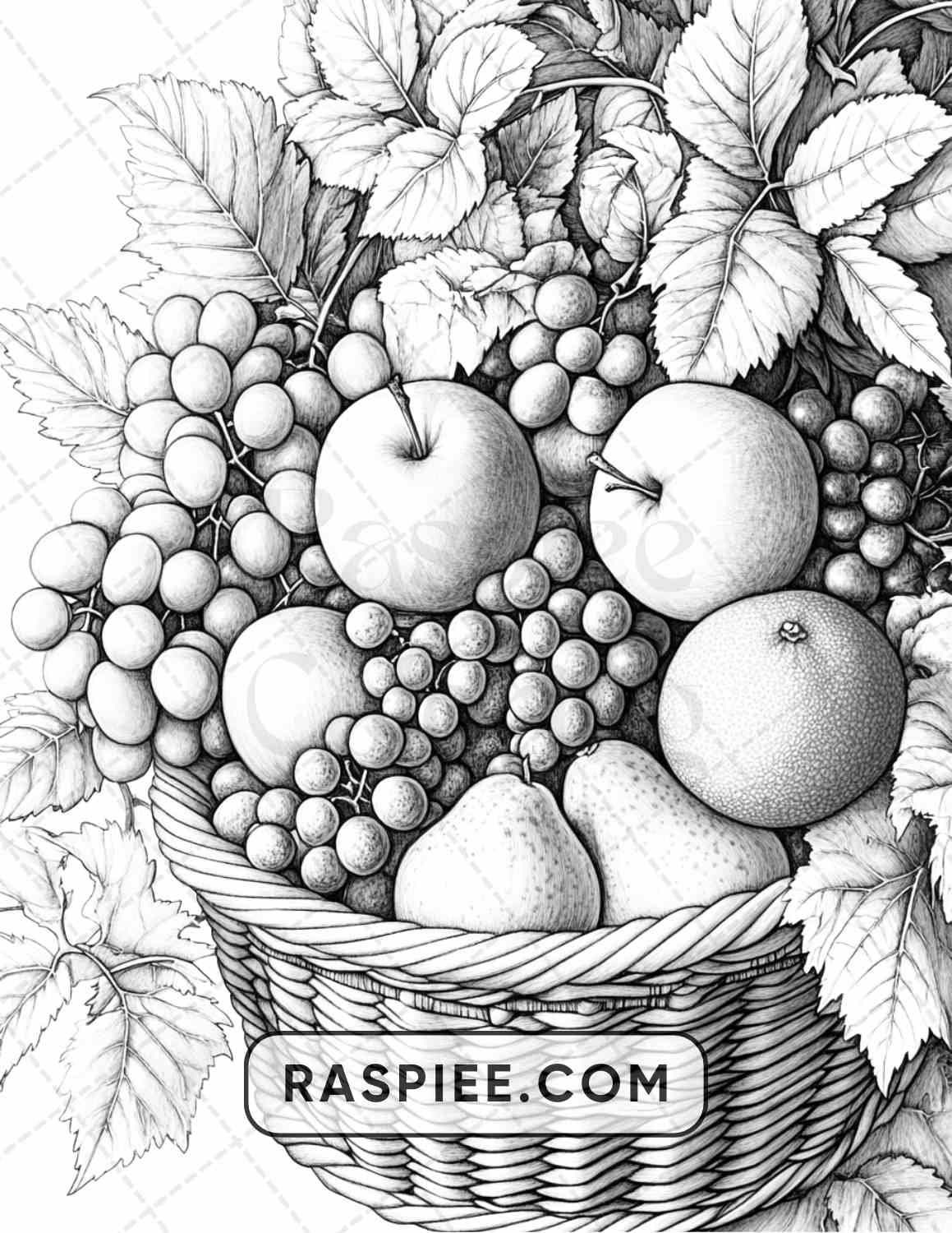 80 Still Life Adult Coloring Pages