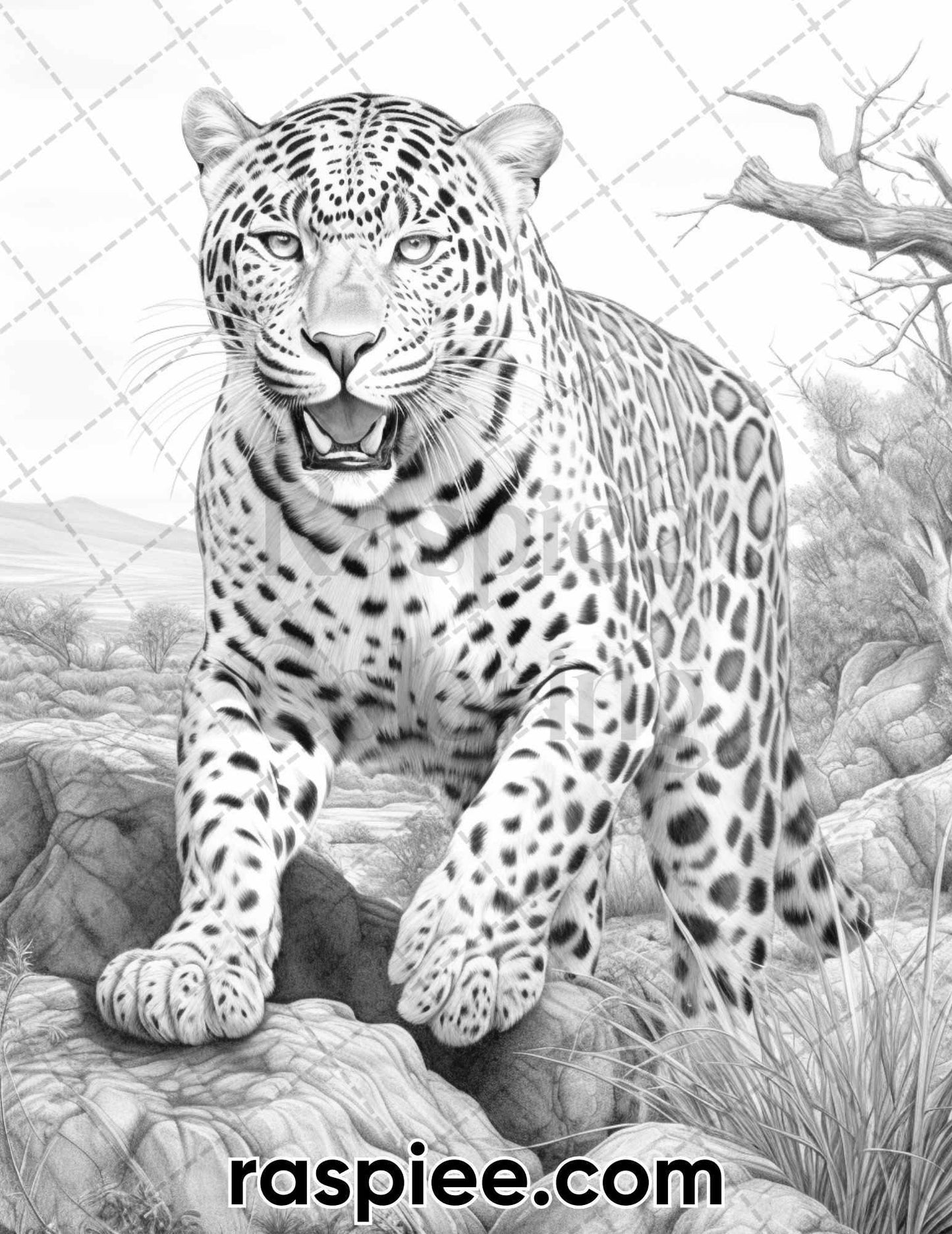 55 Wild Animals Grayscale Coloring Pages for Adults, Printable PDF Instant Download