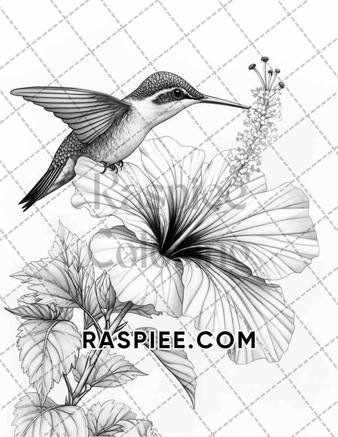 Flowers and Birds Adult Coloring Pages Printable PDF Instant Download