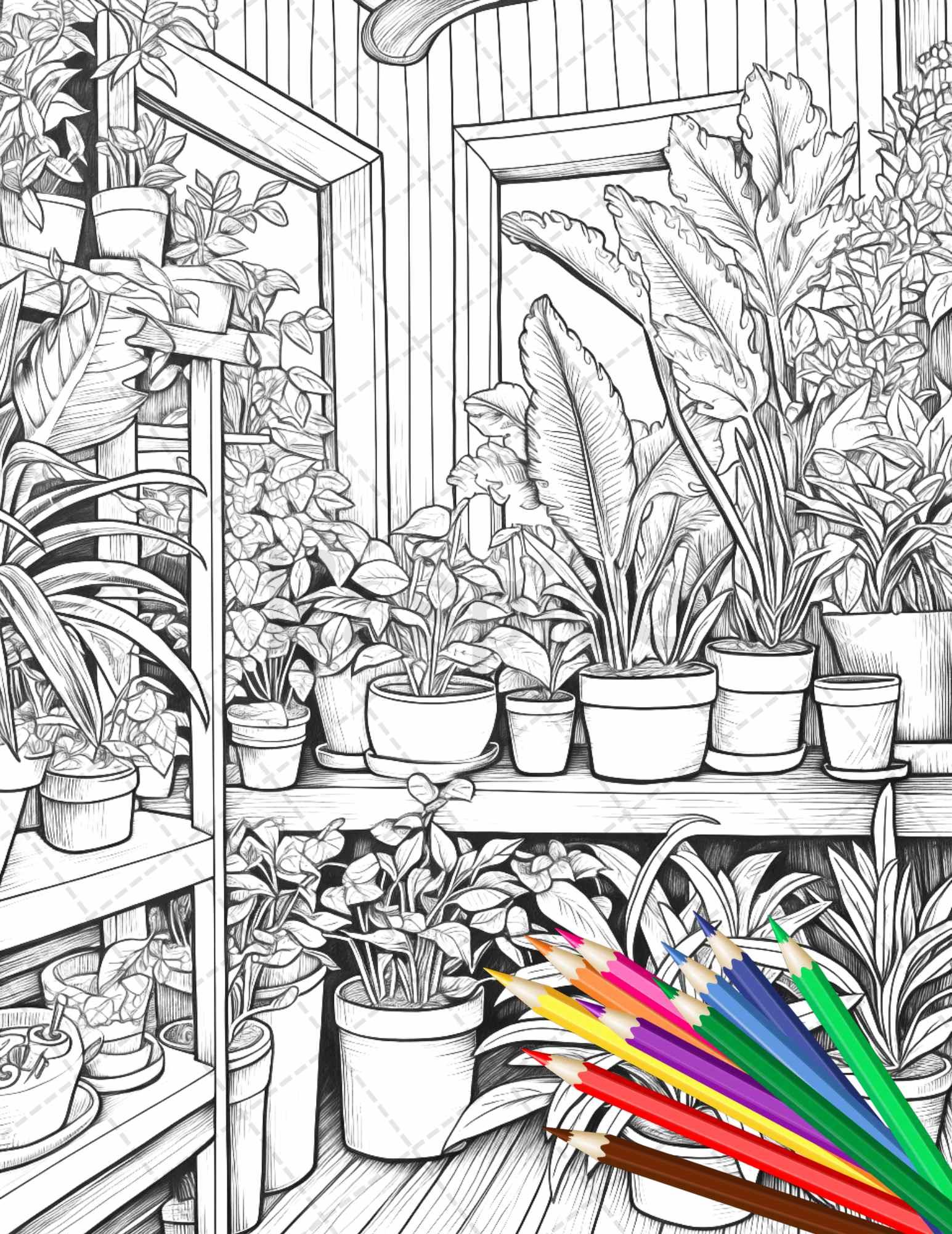 38 Indoor Houseplants Coloring Pages Printable for Adults, Grayscale Coloring Page, PDF File Instant Download