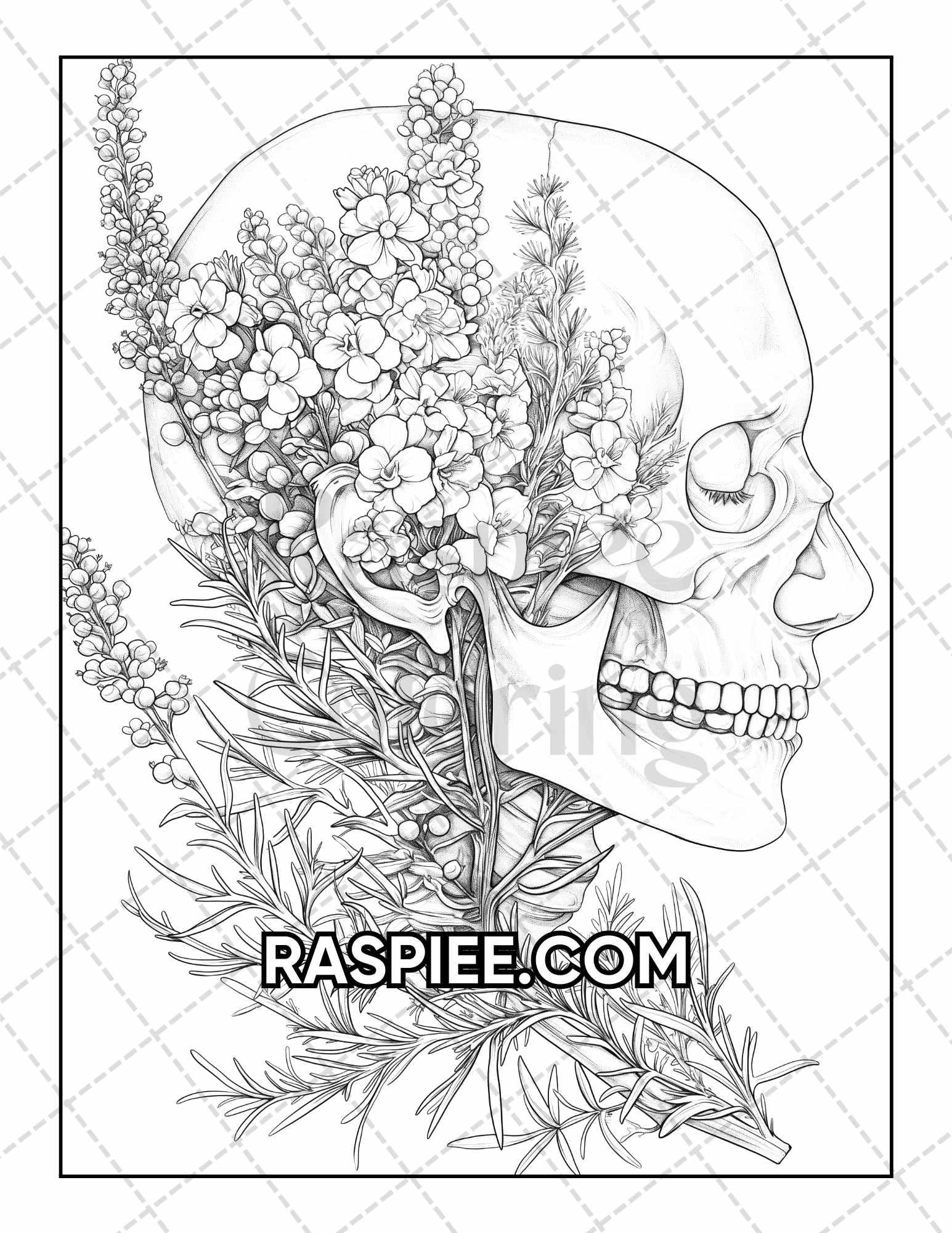 50 Botanical Anatomy Adult Coloring Pages Printable PDF Instant Download