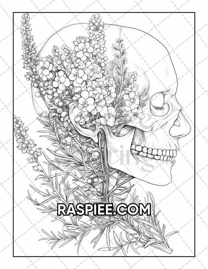 50 Botanical Anatomy Adult Coloring Pages Printable PDF Instant Download