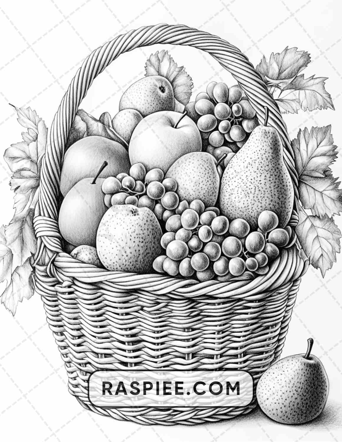 80 Still Life Adult Coloring Pages