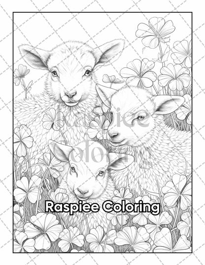 50 Country Farm Scenes Adult Coloring Pages Printable PDF Instant Download