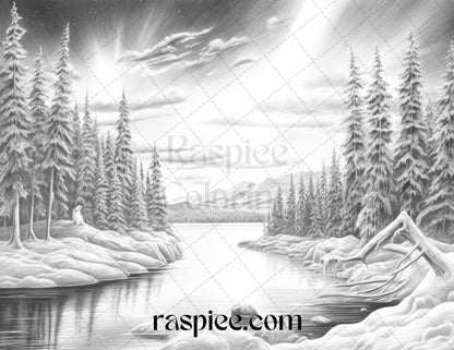 Aurora Borealis Landscape Grayscale Coloring Pages for Adults, Printable PDF File Instant Download