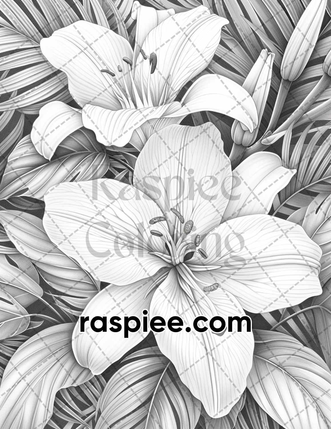 65 Tropical Flowers Grayscale Adult Coloring Pages Printable PDF Instant Download