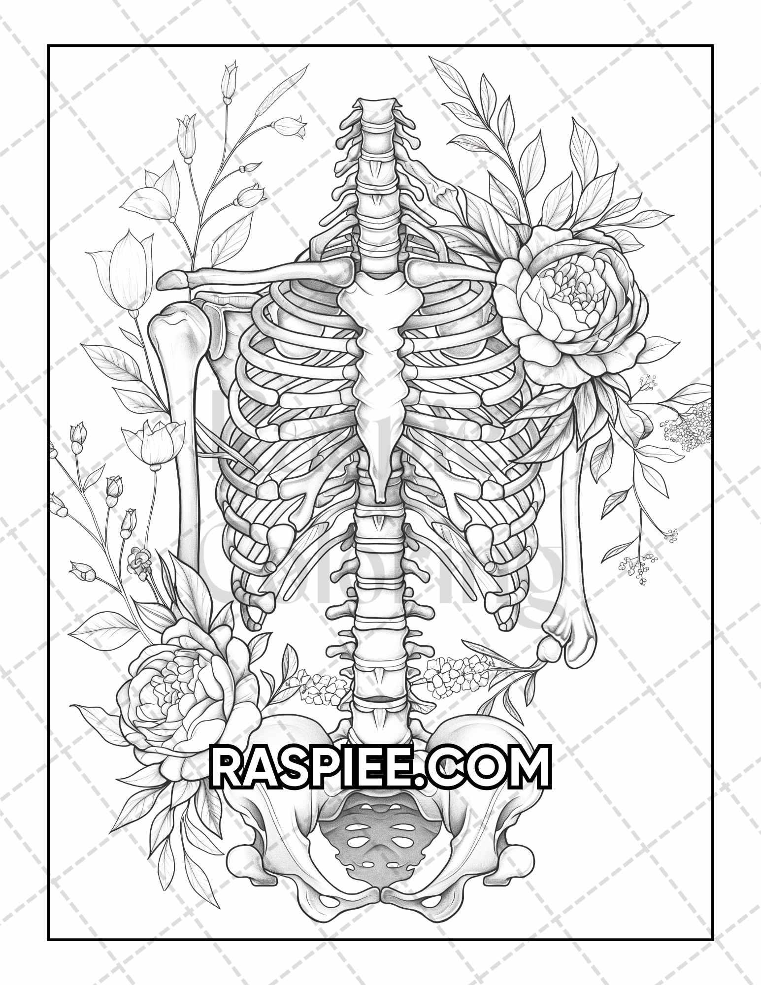 50 Botanical Anatomy Adult Coloring Pages Printable PDF Instant Download