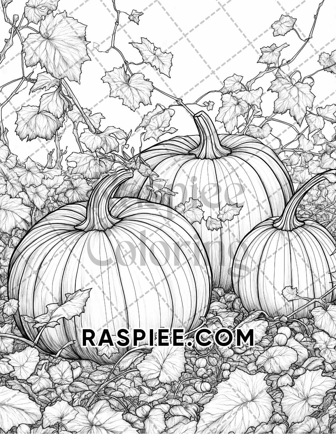 Autumn Charm Adult Coloring Pages Printable PDF Instant Download