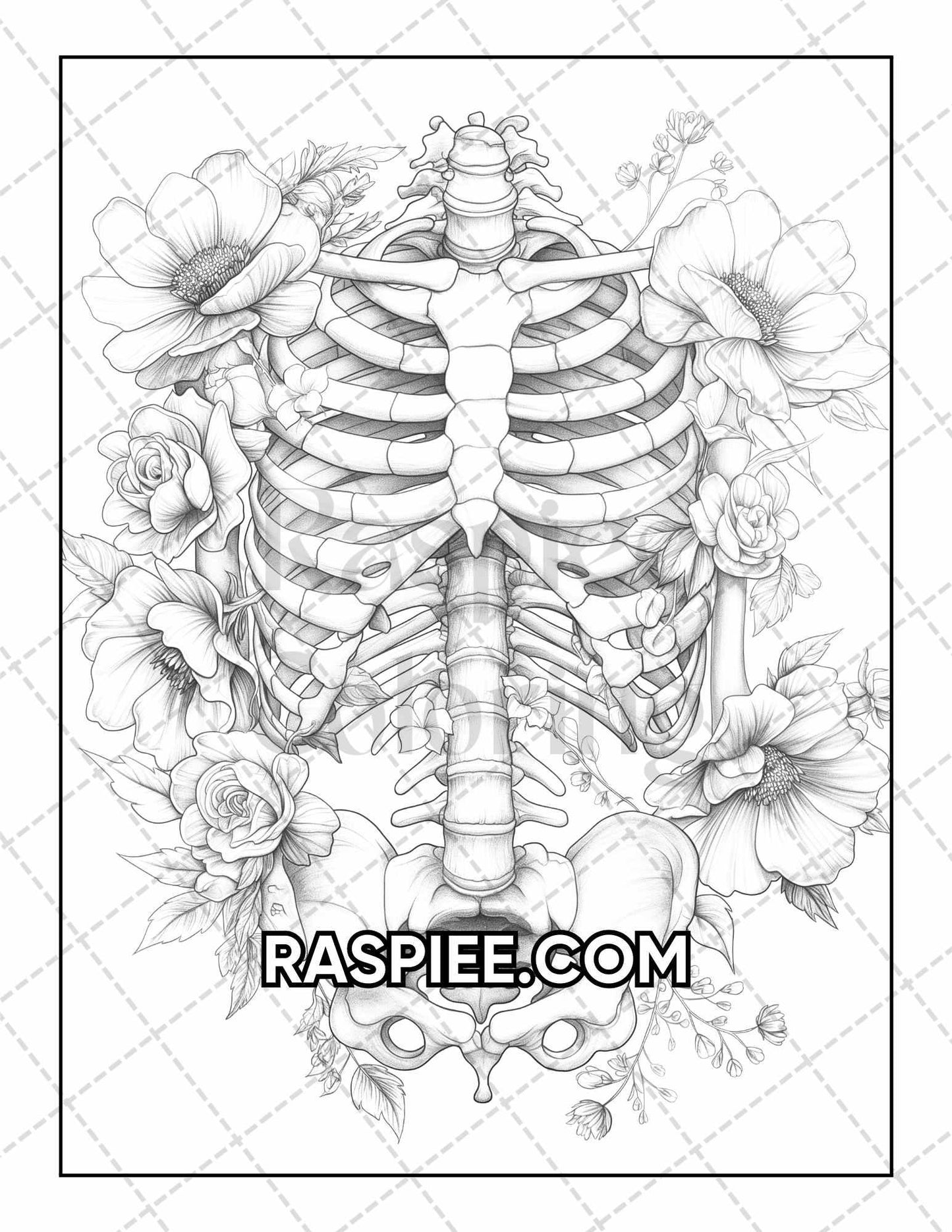 50 Botanical Anatomy Adult Coloring Pages Printable PDF Instant Download