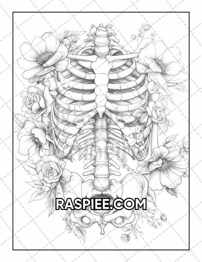50 Botanical Anatomy Adult Coloring Pages Printable PDF Instant Download