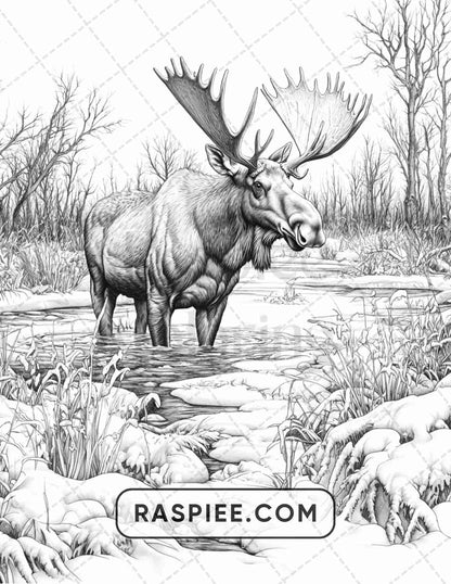 86 Winter Animals Adult Coloring Pages