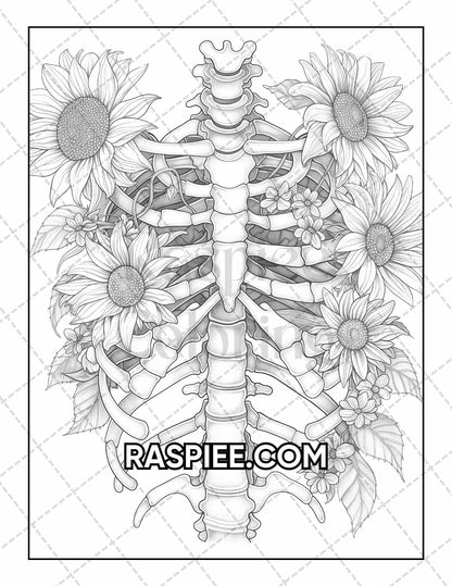 50 Botanical Anatomy Adult Coloring Pages Printable PDF Instant Download