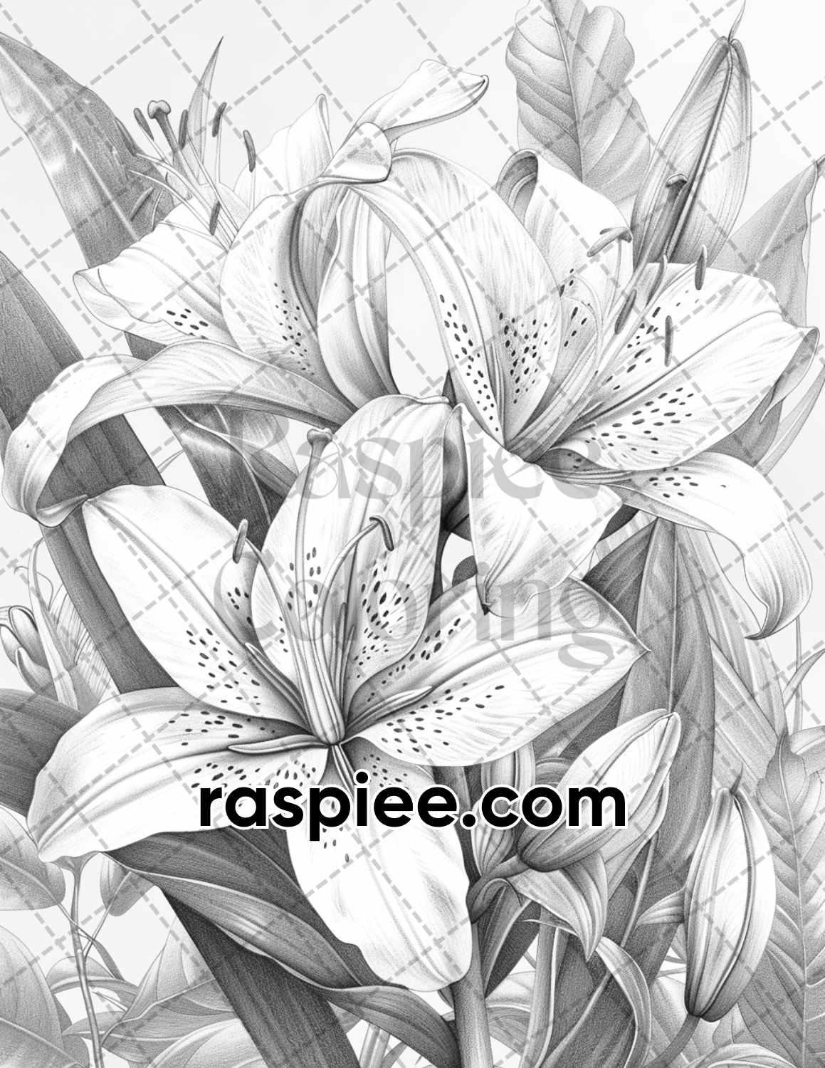 65 Tropical Flowers Grayscale Adult Coloring Pages Printable PDF Instant Download