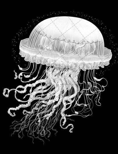 Ocean Life Grayscale Coloring Pages Printable for Adults Relaxation and Creativity, PDF File Instant Download