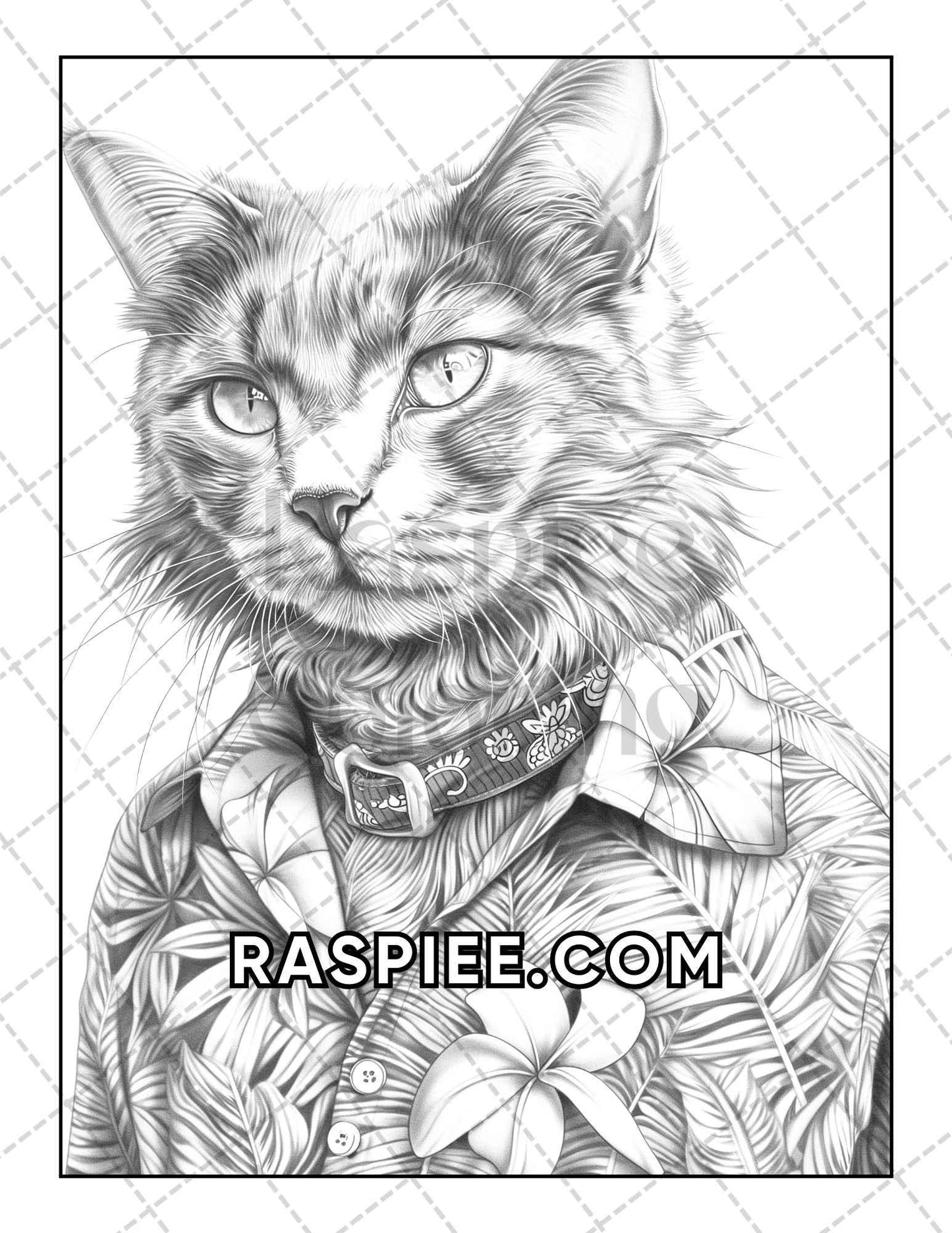 60 Cats Dressed Up Adult Coloring Pages Printable PDF Instant Download