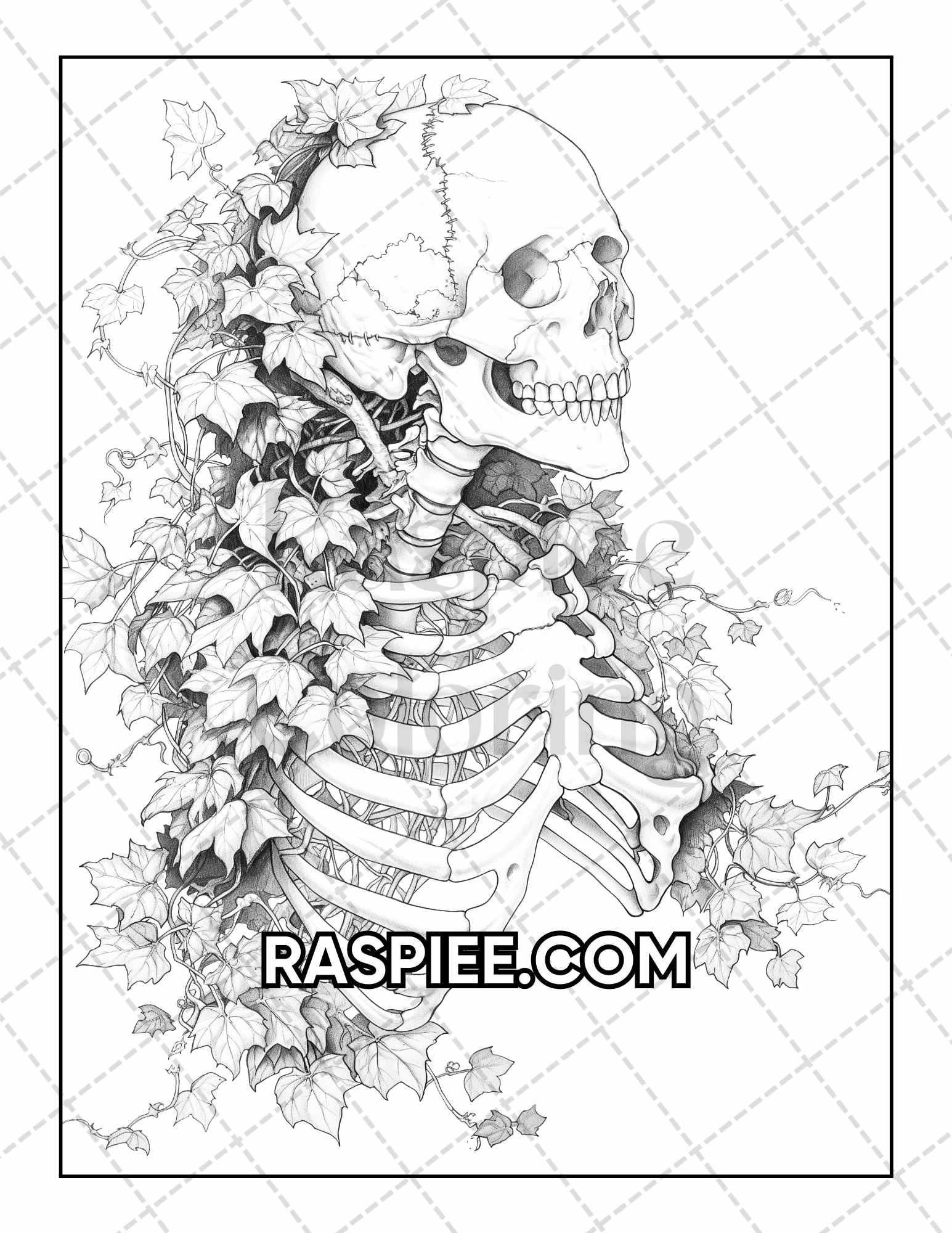50 Botanical Anatomy Adult Coloring Pages Printable PDF Instant Download