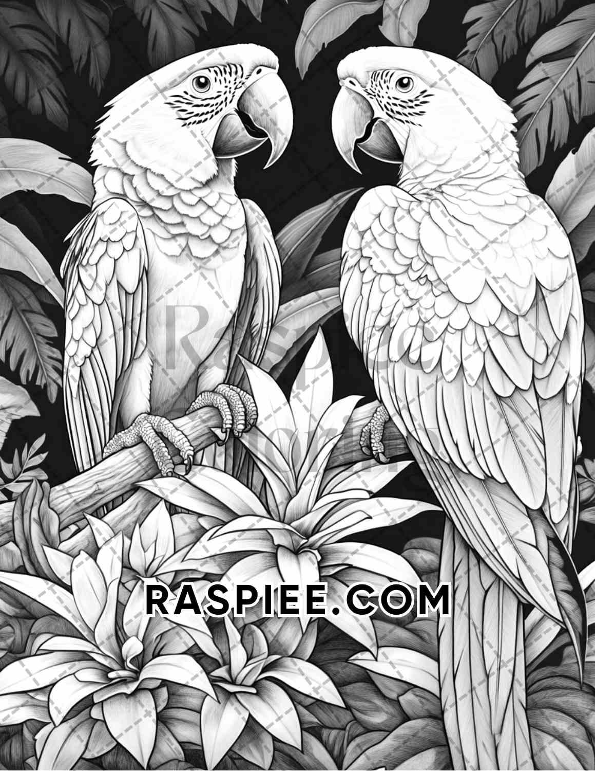 Flowers and Birds Adult Coloring Pages Printable PDF Instant Download