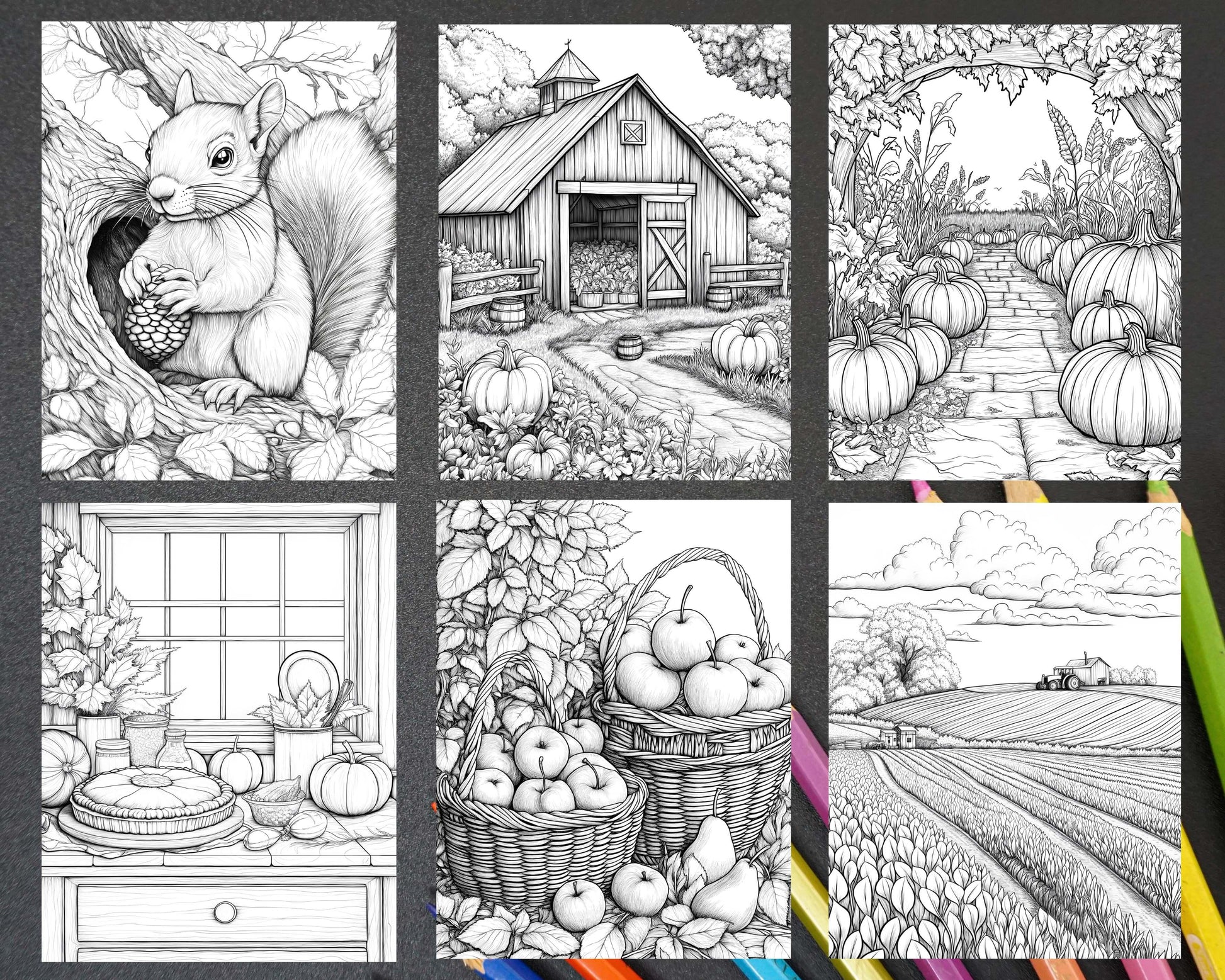 Autumn Charm Adult Coloring Pages Printable PDF Instant Download
