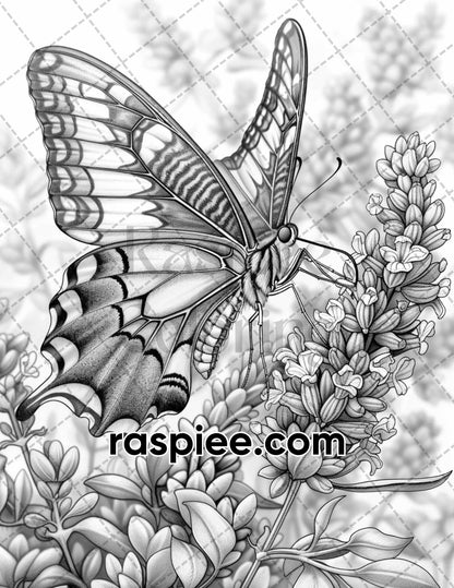 77 Butterflies and Moths Grayscale Adult Coloring Pages, Printable PDF Instant Download