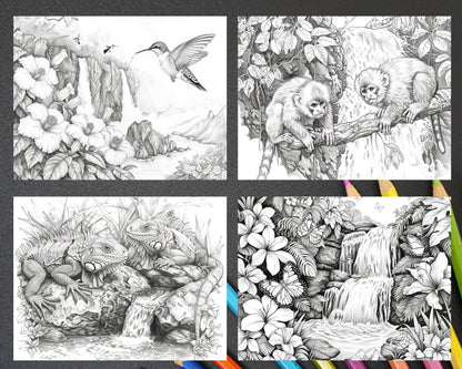 65 Rainforest Waterfall Grayscale Adult Coloring Pages, Printable PDF Instant Download