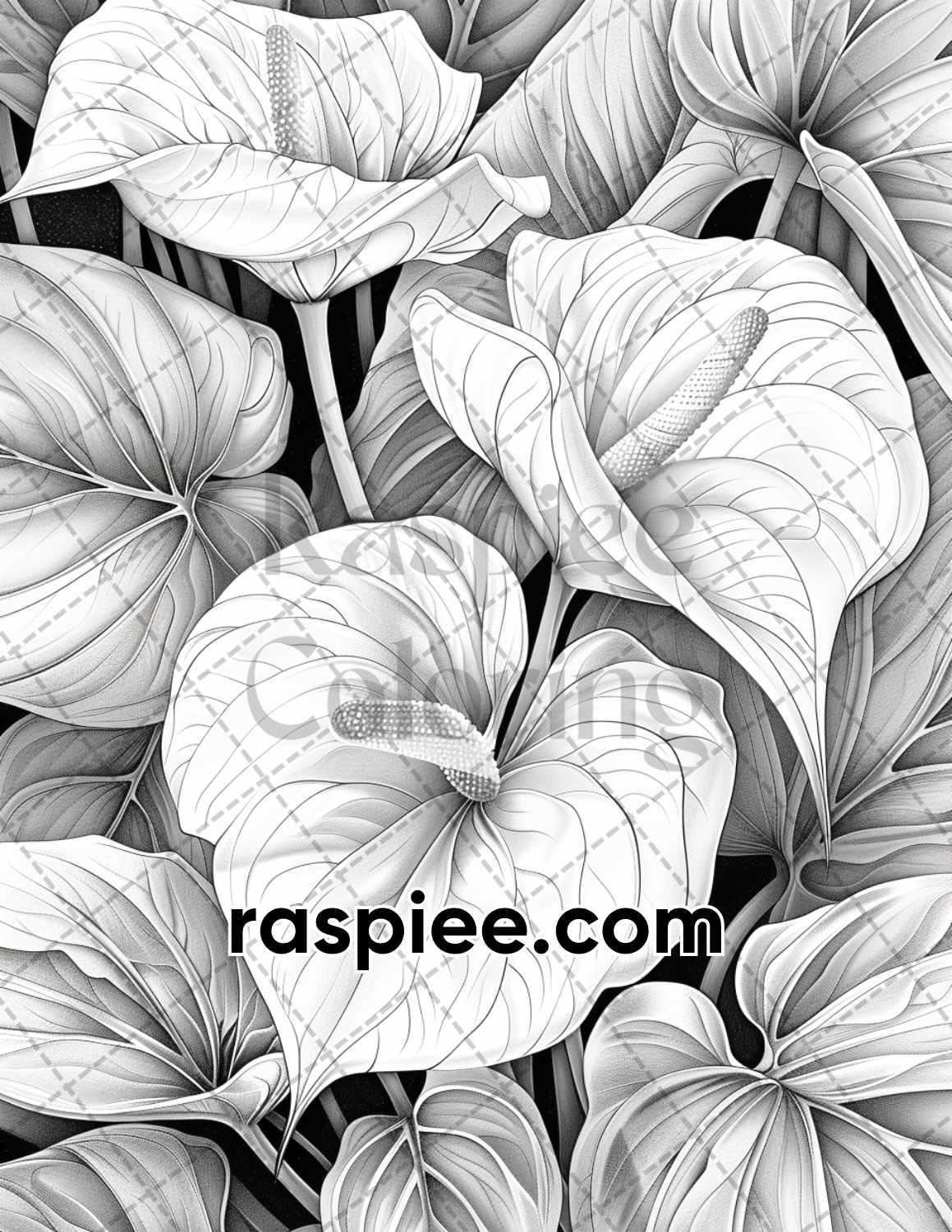 65 Tropical Flowers Grayscale Adult Coloring Pages Printable PDF Instant Download