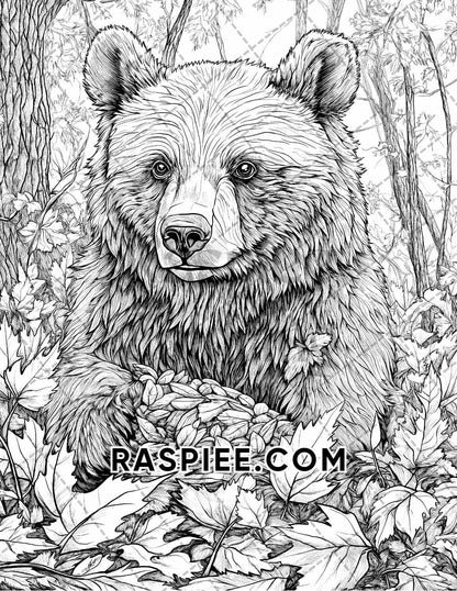 Autumn Charm Adult Coloring Pages Printable PDF Instant Download