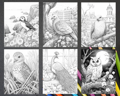 60 Spring Birds Grayscale Adult Coloring Pages, Printable PDF Instant Download