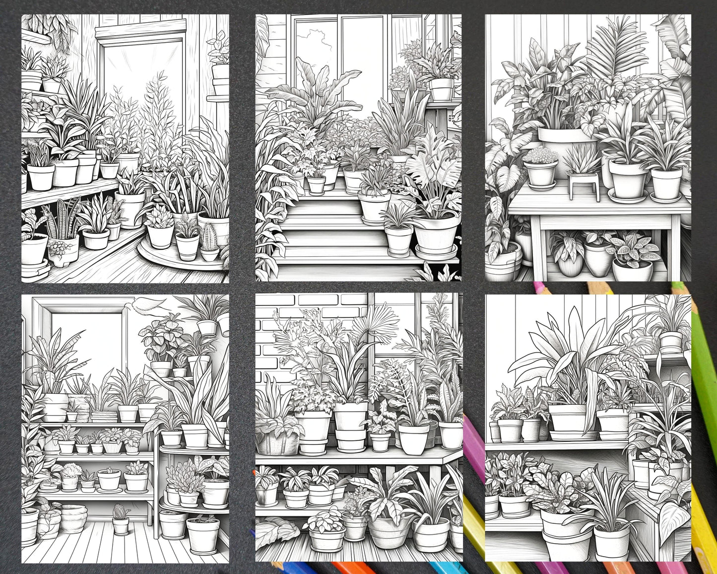 38 Indoor Houseplants Coloring Pages Printable for Adults, Grayscale Coloring Page, PDF File Instant Download