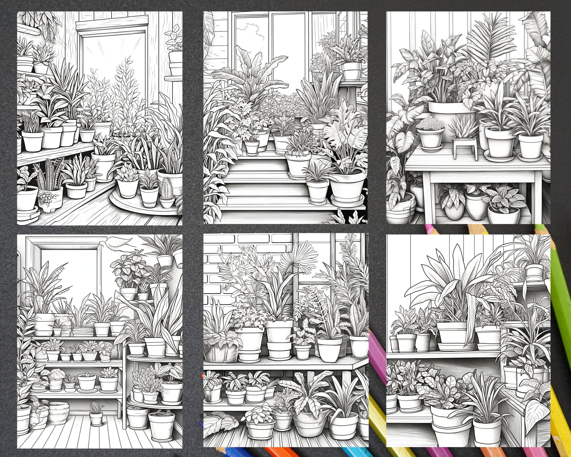 38 Indoor Houseplants Coloring Pages Printable for Adults, Grayscale Coloring Page, PDF File Instant Download