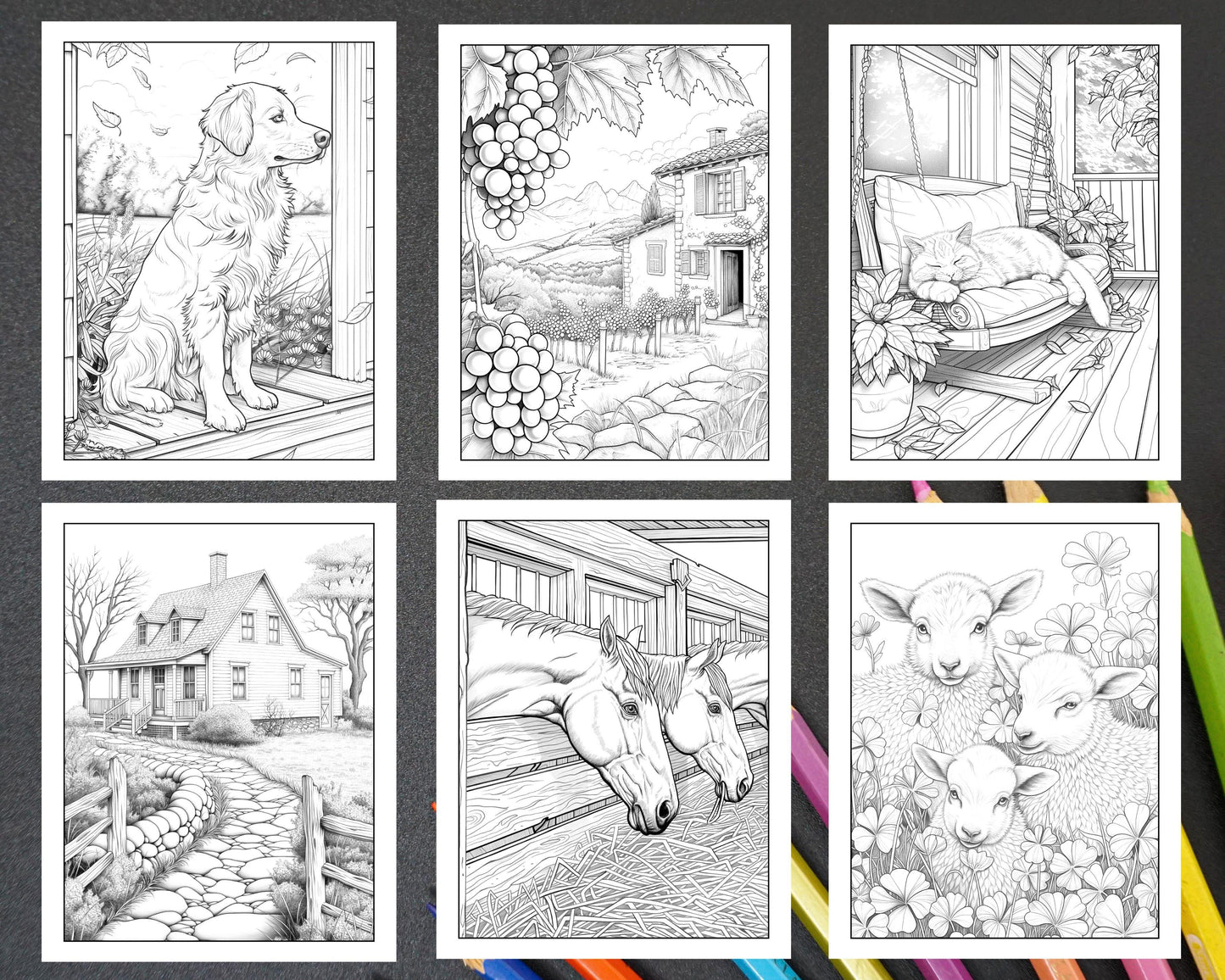 50 Country Farm Scenes Adult Coloring Pages Printable PDF Instant Download