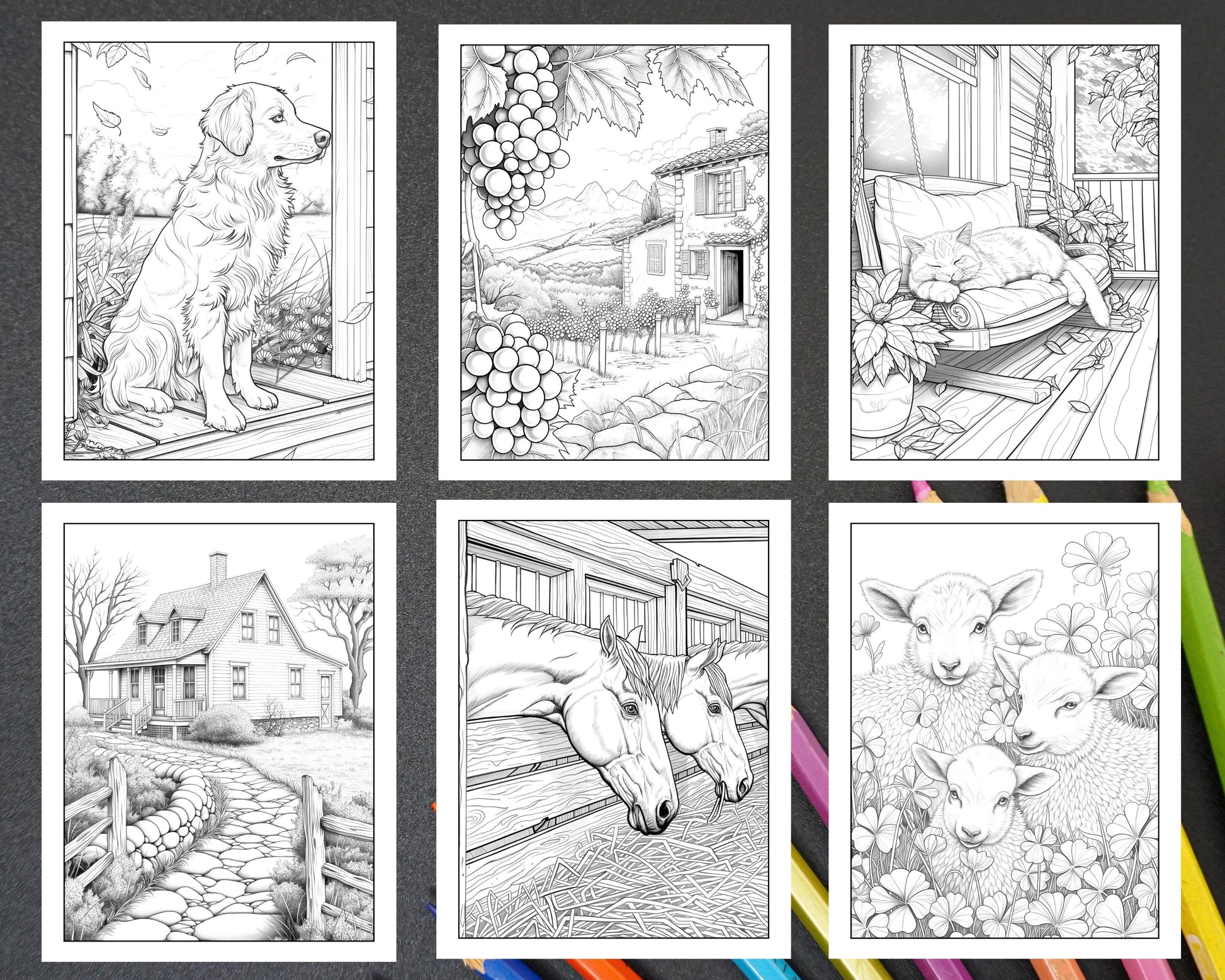 50 Country Farm Scenes Adult Coloring Pages Printable PDF Instant Download