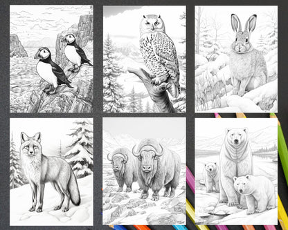 55 Winter Wildlife Grayscale Coloring Pages for Adults, Printable PDF Instant Download