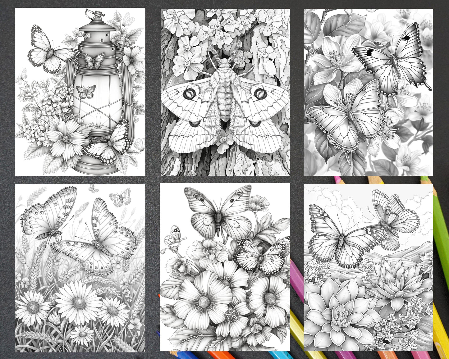 50 Butterflies & Flowers Grayscale Adult Coloring Pages Printable PDF Instant Download