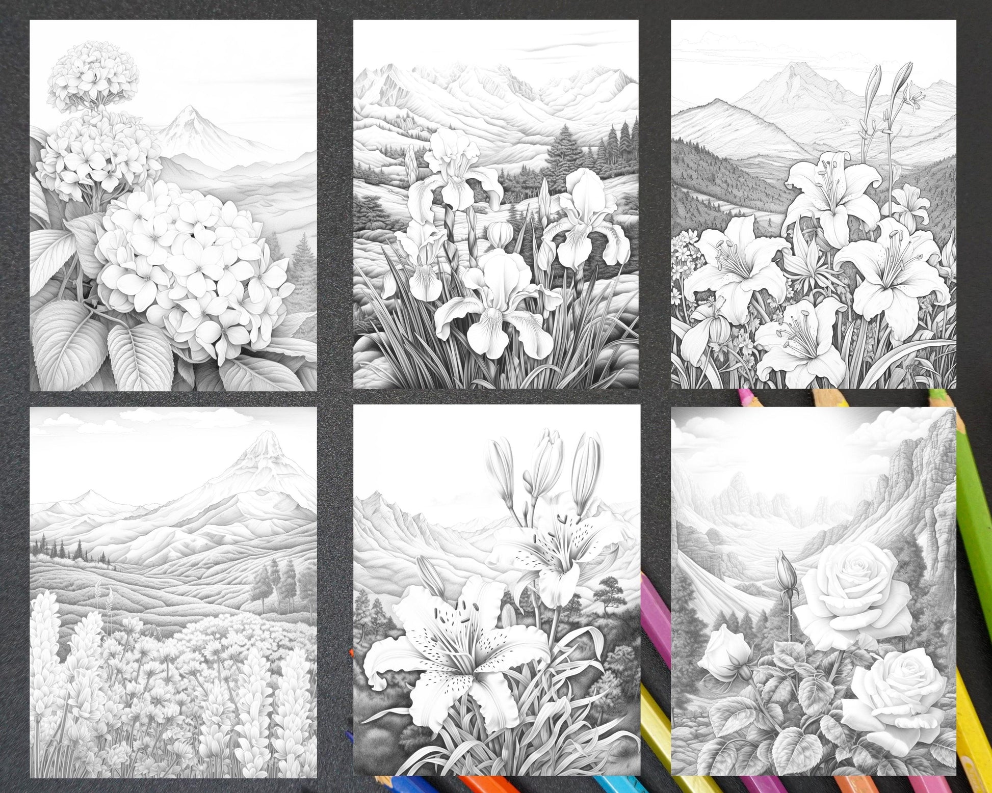60 Mountain Flower Landscapes Grayscale Coloring Pages Printable for Adults, PDF File Instant Download