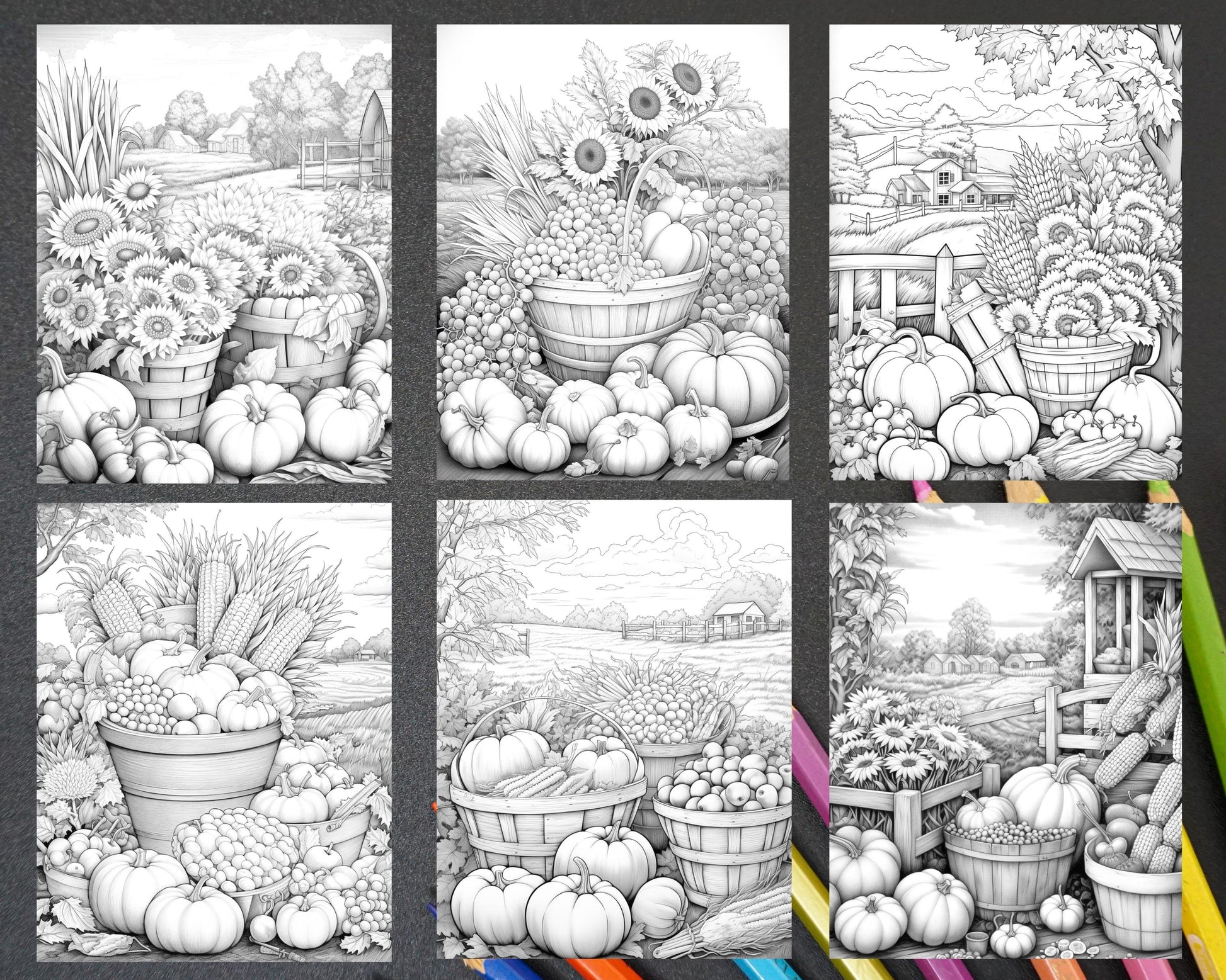 Autumn Harvest Grayscale Coloring Pages Printable for Adults, Relaxing Fall Themed Art, PDF File Instant Download