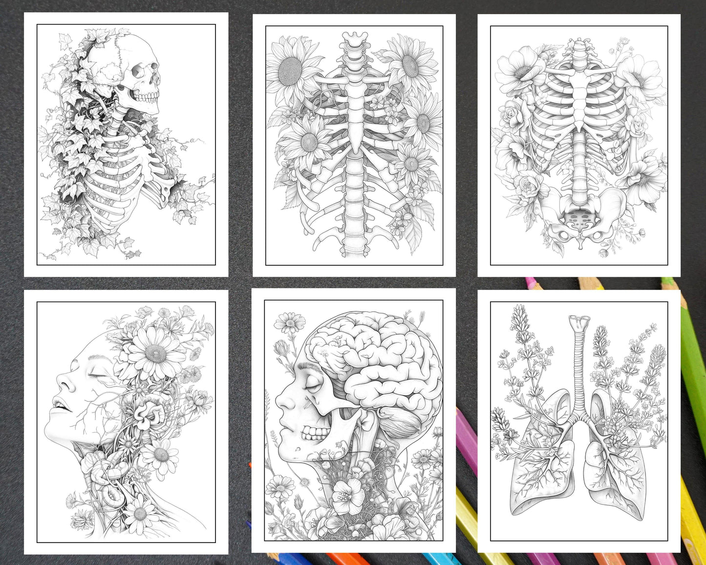 50 Botanical Anatomy Adult Coloring Pages Printable PDF Instant Download