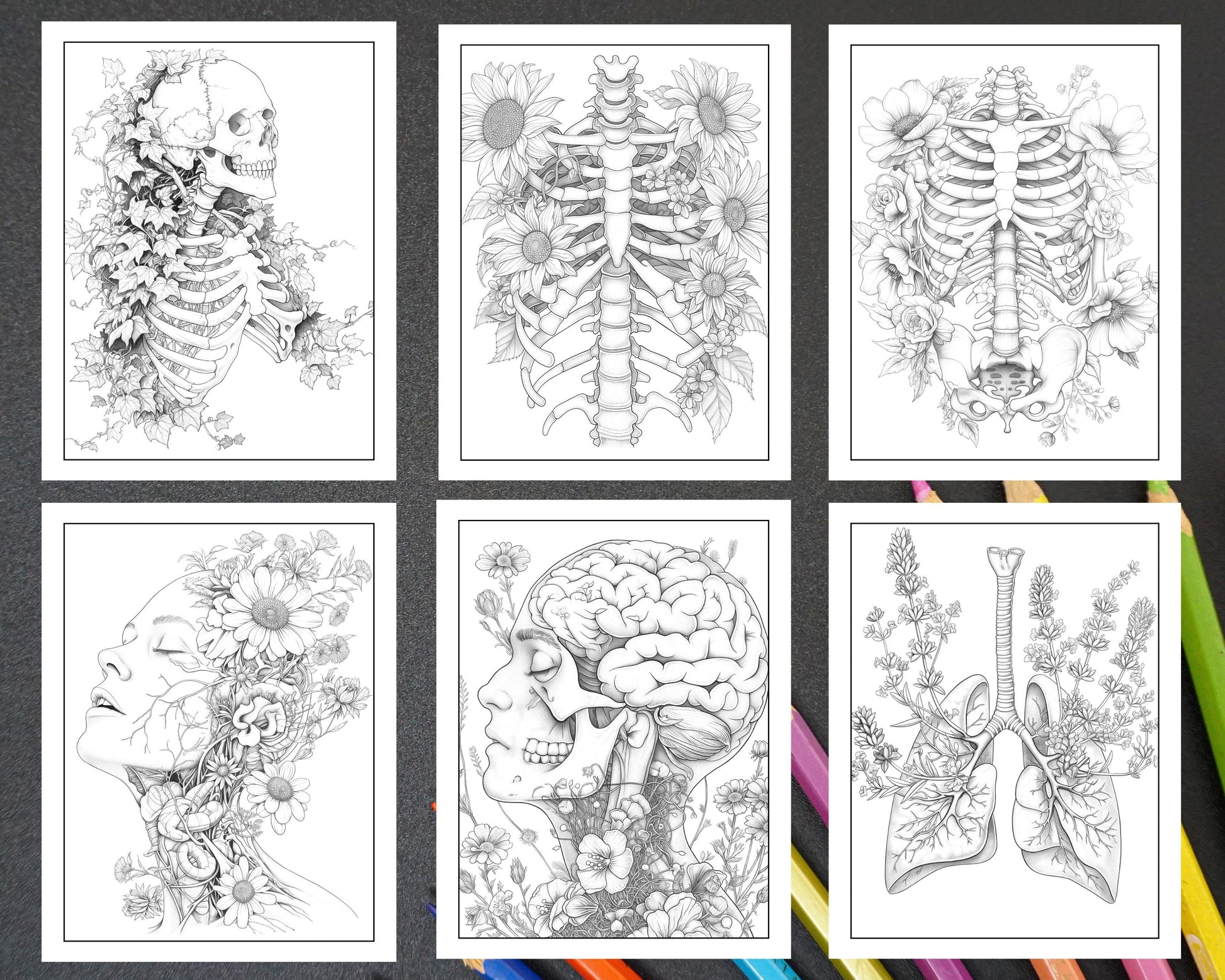 50 Botanical Anatomy Adult Coloring Pages Printable PDF Instant Download