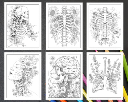 50 Botanical Anatomy Adult Coloring Pages Printable PDF Instant Download