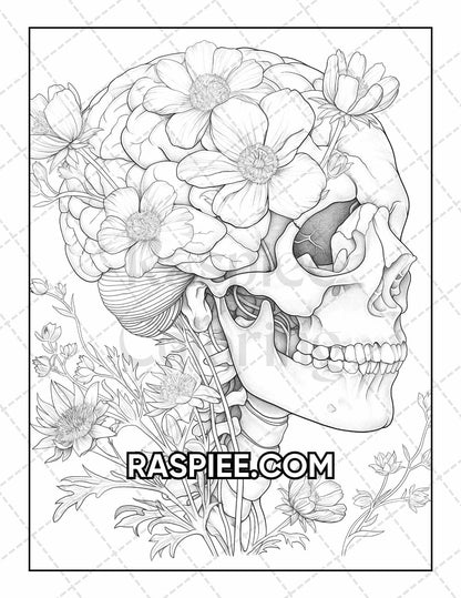50 Botanical Anatomy Adult Coloring Pages Printable PDF Instant Download