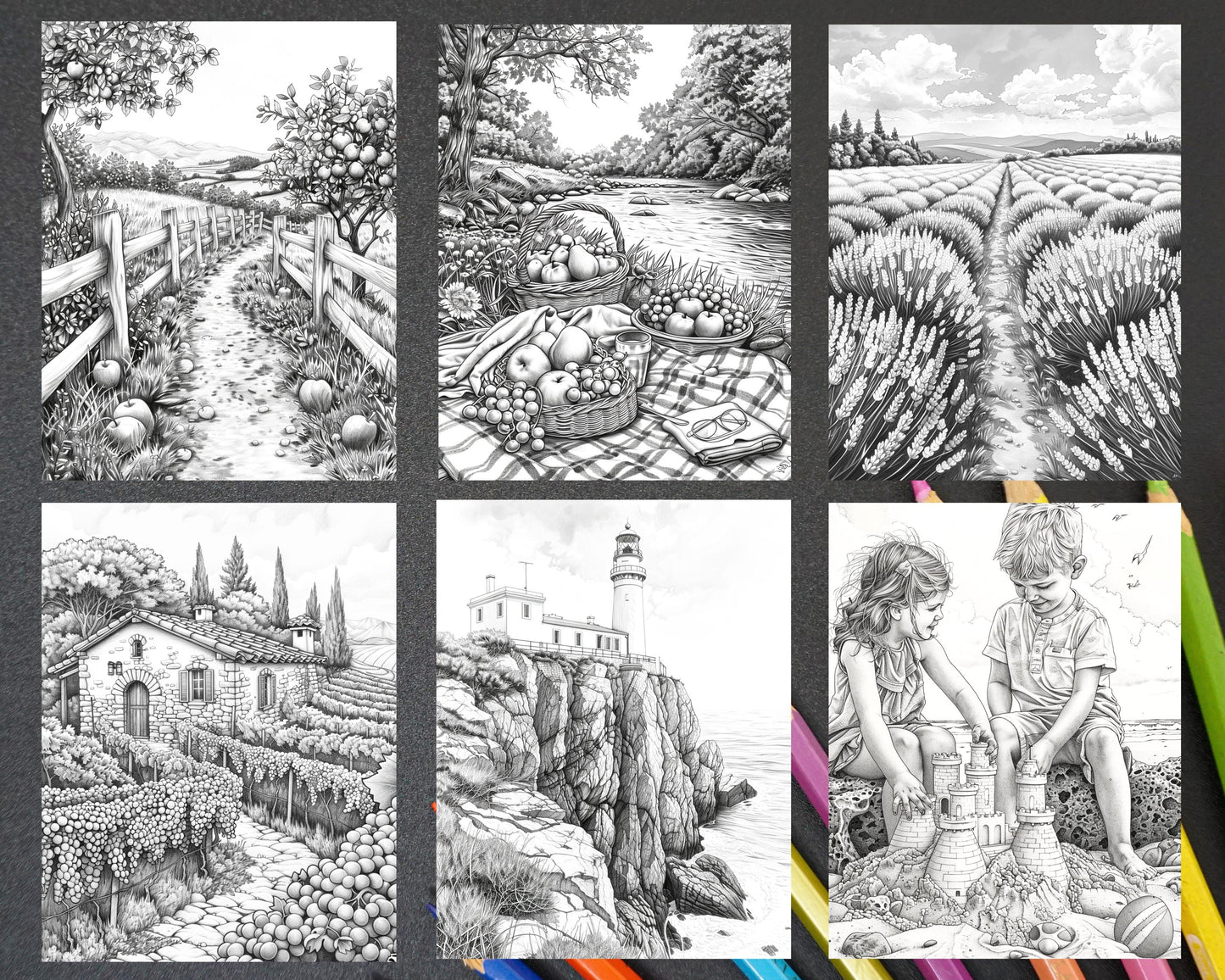 62 Relaxing Summer Grayscale Adult Coloring Pages Printable PDF Instant Download