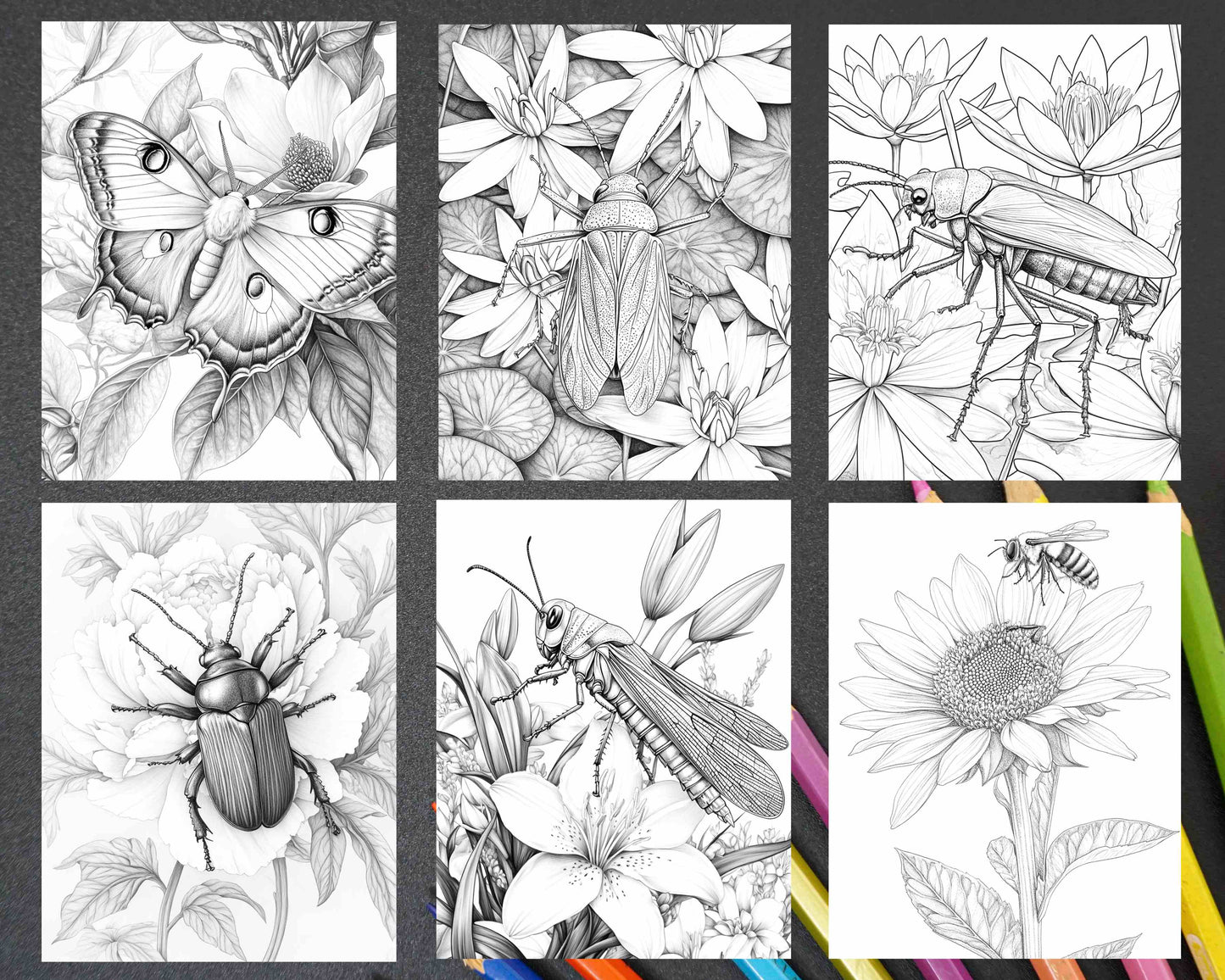 Insects and Flowers Adult Coloring Pages