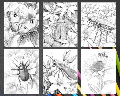 Insects and Flowers Adult Coloring Pages