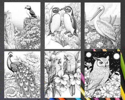 Flowers and Birds Adult Coloring Pages Printable PDF Instant Download