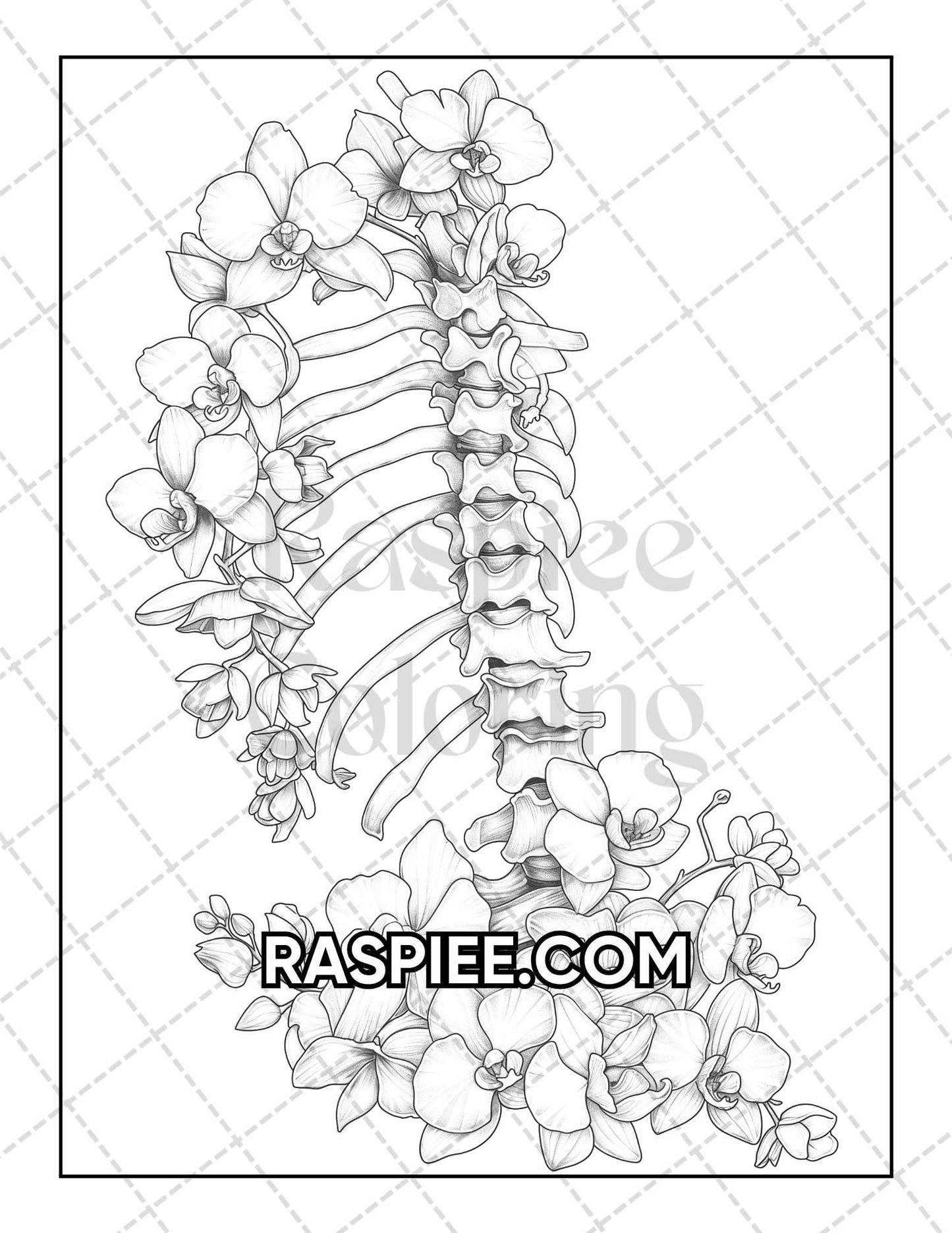 50 Botanical Anatomy Adult Coloring Pages Printable PDF Instant Download